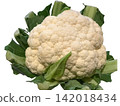 Close-up of fresh cauliflower 142018434