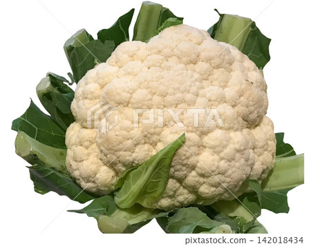 Close-up of fresh cauliflower Close-up of fresh cauliflower 142018434