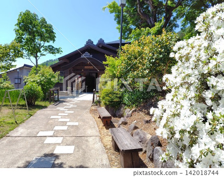 初夏,野澤溫泉、淺間溫泉公園故里之湯的杜鵑花盛開。 初夏,野澤溫泉、淺間溫泉公園故里之湯的杜鵑花盛開。 142018744