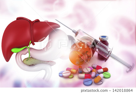 Anatomy of liver with pharmaceutical medicine 142018864