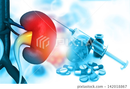 Anatomy of kidney with pharmaceutical medicine Anatomy of kidney with pharmaceutical medicine 142018867