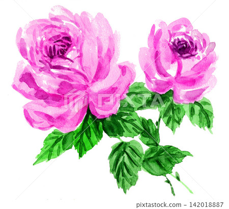 Pink rose painted in watercolor (26815 pixels, 7 pixels) Pink rose painted in watercolor (26815 pixels, 7 pixels) 142018887