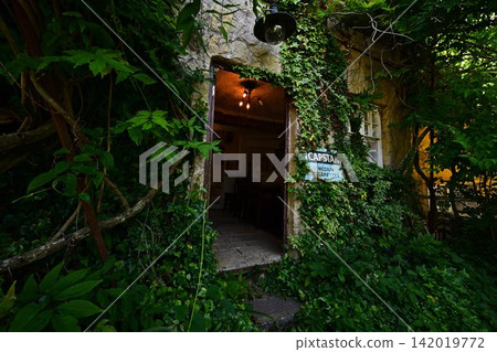 A hut surrounded by green A hut surrounded by green 142019772