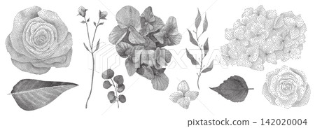 Orchid Inspired Stipple Flower Dot Elements Orchid Inspired Stipple Flower Dot Elements 142020004