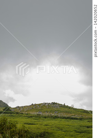 Green grasslands and pastures stretching out under a cloudy sky. Green grasslands and pastures stretching out under a cloudy sky. 142020652
