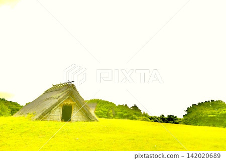 Ancient pit dwellings and natural scenery standing in a bright grassland. 142020689