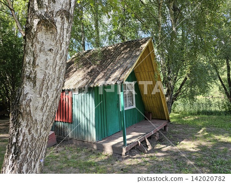 Small green wooden cabin with old roof surrounded by tall pine trees in peaceful summer forest near river Small green wooden cabin with old roof surrounded by tall pine trees in peaceful summer forest near river 142020782
