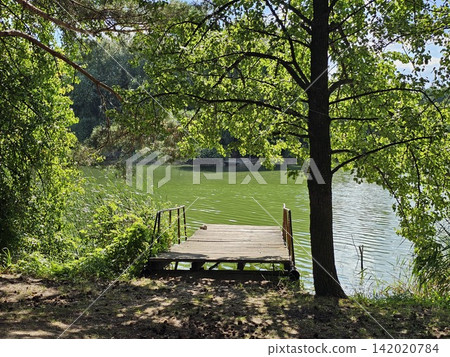 Small wooden fishing pier surrounded by green trees on a peaceful river during a warm sunny summer day Small wooden fishing pier surrounded by green trees on a peaceful river during a warm sunny summer day 142020784