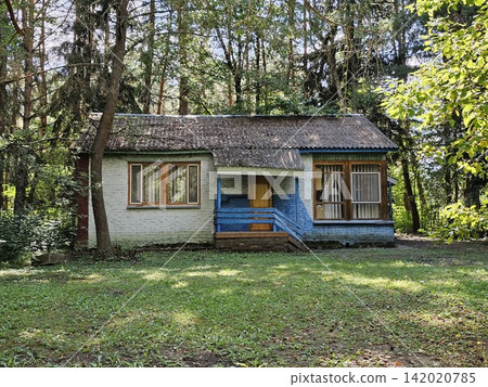 Old abandoned cottage surrounded by tall pine trees in peaceful forest on a sunny summer day 142020785