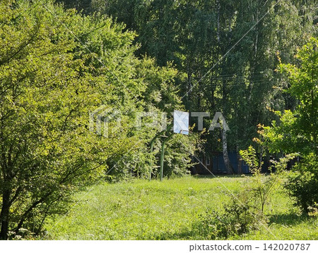 Abandoned basketball court with old hoop surrounded by summer grass Abandoned basketball court with old hoop surrounded by summer grass 142020787