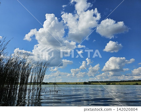Beautiful summer view of the Southern Bug River surrounded by green reeds under a bright blue sky in the peaceful countryside Beautiful summer view of the Southern Bug River surrounded by green reeds under a bright blue sky in the peaceful countryside 142020804