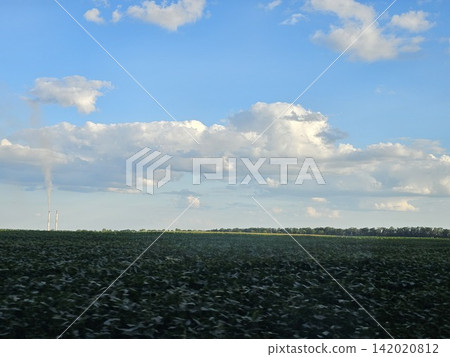 Green farm field passing by under a blue summer sky viewed through the side window of a moving car in the countryside Green farm field passing by under a blue summer sky viewed through the side window of a moving car in the countryside 142020812