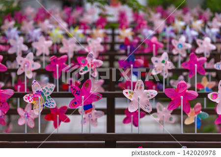260815 Hida Gokoku Shrine g044 260815 Hida Gokoku Shrine g044 142020978