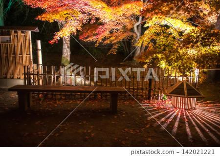 Lantern light up by chair at Hogonin temple autumn garden, Arashiyama Lantern light up by chair at Hogonin temple autumn garden, Arashiyama 142021221