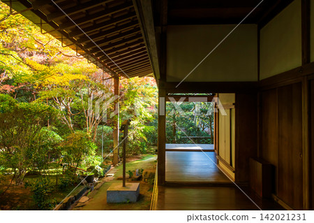 Autumn garden by Ryoan-ji temple terrace walking trail, Kyoto Autumn garden by Ryoan-ji temple terrace walking trail, Kyoto 142021231