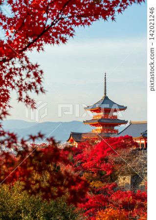 Iconic Kiyomizu-dera pagoda with autumn red maple leaf, Kyoto Iconic Kiyomizu-dera pagoda with autumn red maple leaf, Kyoto 142021246