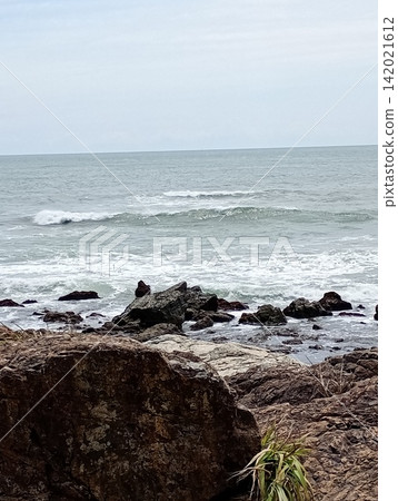 海岸 海岸 142021612