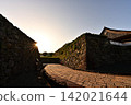 Sasayama Castle at Dawn 142021644