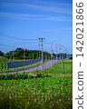 Country roads and utility poles in Tohoku | Vertical rural landscape with wildflowers blurred in the foreground. 142021866