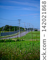 Country roads and utility poles in Tohoku | A vertical late-summer rural landscape with withered wildflowers in the foreground. 142021868