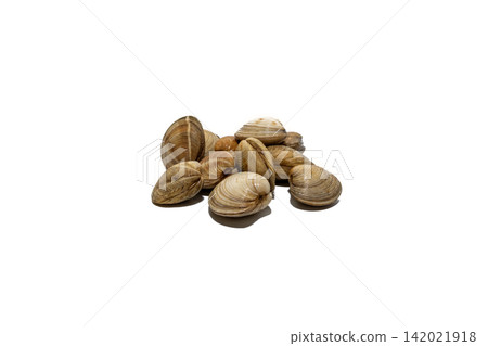 Fresh raw clams isolated on white, ideal for seafood advertising, restaurant menus, culinary recipes, food packaging, grocery catalogs, and Mediterranean cuisine marketing. Fresh raw clams isolated on white, ideal for seafood advertising, restaurant menus, culinary recipes, food packaging, grocery catalogs, and Mediterranean cuisine marketing. 142021918