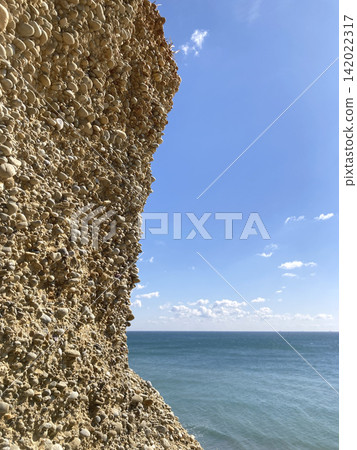 Sea cliffs (Pacific coast of Aichi Prefecture) Sea cliffs (Pacific coast of Aichi Prefecture) 142022317