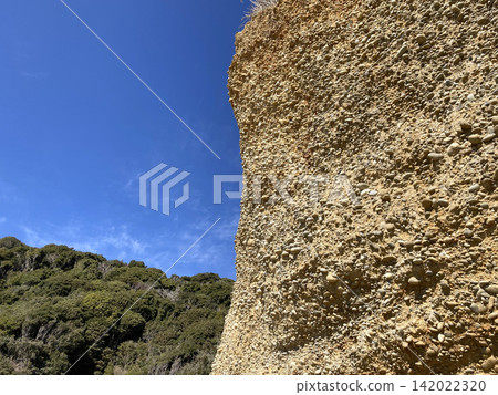 Sea cliffs (Pacific coast of Aichi Prefecture) Sea cliffs (Pacific coast of Aichi Prefecture) 142022320