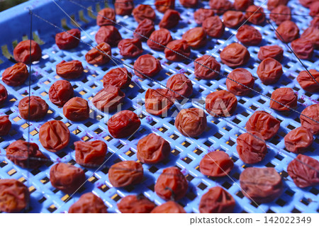 自製umeboshi 142022349