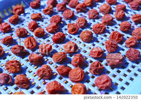 自製umeboshi 142022350