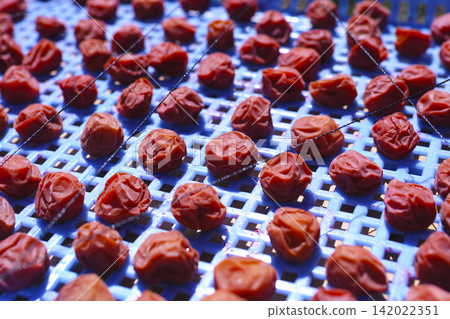 Homemade umeboshi Homemade umeboshi 142022351