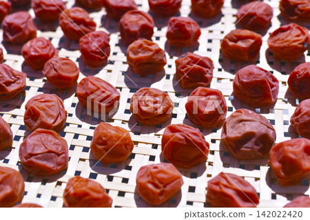 Homemade umeboshi Homemade umeboshi 142022420