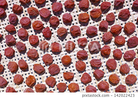 自製umeboshi 自製umeboshi 142022423