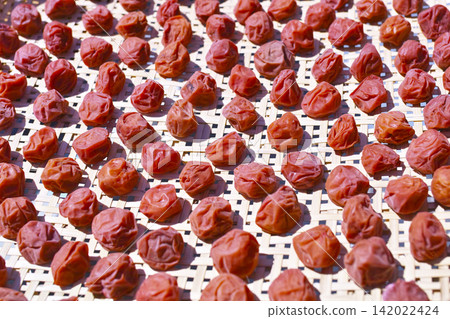 Homemade umeboshi Homemade umeboshi 142022424