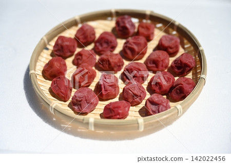 Homemade umeboshi Homemade umeboshi 142022456