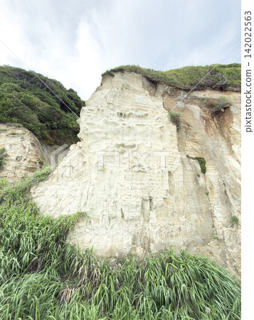 海崖(愛知縣太平洋沿岸) 海崖(愛知縣太平洋沿岸) 142022563