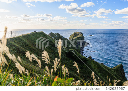 The autumn view from Cape Kamui on the Shakotan Peninsula is beautiful, with the horizon of the Sea of Japan and a walking path leading to the tip of the cape. The autumn view from Cape Kamui on the Shakotan Peninsula is beautiful, with the horizon of the Sea of Japan and a walking path leading to the tip of the cape. 142022967