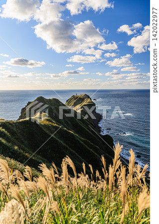 The view from Cape Kamui, a scenic spot on the Shakotan Peninsula, stands amidst the breathtaking Shakotan Blue waters and a refreshing autumn sky. 142022977