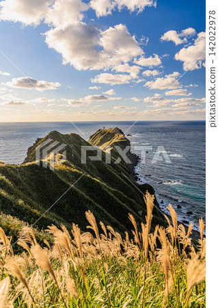 The promenade at Cape Kamui, bathed in the soft light of early autumn, offers a dynamic view of the vast Sea of Japan. The promenade at Cape Kamui, bathed in the soft light of early autumn, offers a dynamic view of the vast Sea of Japan. 142022978