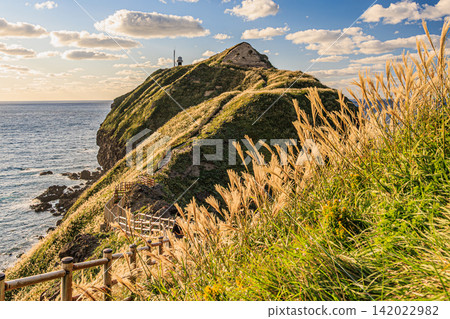 The autumn scenery of the Shakotan Peninsula, with its shimmering pampas grass in the sunlight and the ridge road of Cape Kamui leading out to the vast ocean. The autumn scenery of the Shakotan Peninsula, with its shimmering pampas grass in the sunlight and the ridge road of Cape Kamui leading out to the vast ocean. 142022982