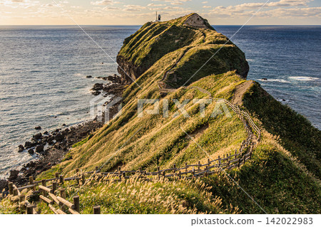 The scenery of the walking path along the ridge of Cape Kamui, reflected in the clear autumn sky and the Shakotan Blue sea. The scenery of the walking path along the ridge of Cape Kamui, reflected in the clear autumn sky and the Shakotan Blue sea. 142022983