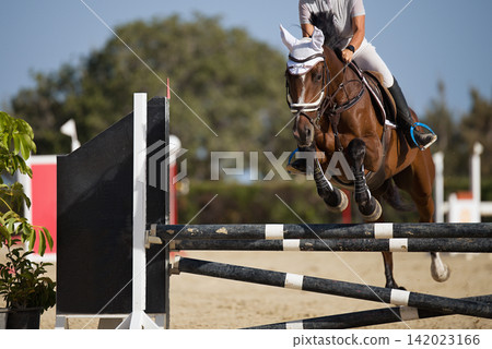 Jockey on her horse leaping over a hurdle, jumping over hurdle on competition Jockey on her horse leaping over a hurdle, jumping over hurdle on competition 142023166