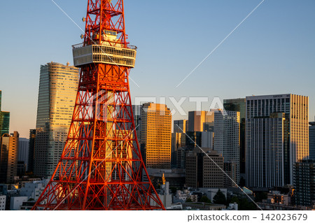 Tokyo: Tokyo Tower illuminated by the morning sun, the cityscape with Tokyo Tower, and the Tokyo cityscape at sunrise. Tokyo: Tokyo Tower illuminated by the morning sun, the cityscape with Tokyo Tower, and the Tokyo cityscape at sunrise. 142023679
