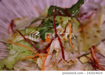 Fresh Vegetable Salad with Carrots and Herbs Fresh Vegetable Salad with Carrots and Herbs 142024624