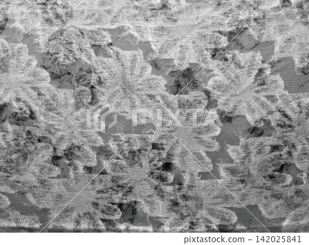 white floral lace texture with embroidered daisy blossoms on sheer tulle for elegant wedding backdrop and web design white floral lace texture with embroidered daisy blossoms on sheer tulle for elegant wedding backdrop and web design 142025841