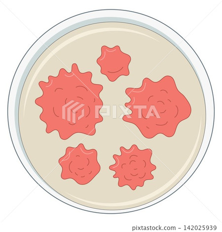 vector, icon, experiment 142025939