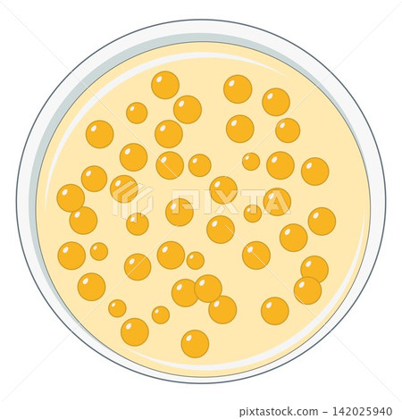 Staphylococcus aureus Bacterial Colonies Vector Illustration on Agar Plate Staphylococcus aureus Bacterial Colonies Vector Illustration on Agar Plate 142025940