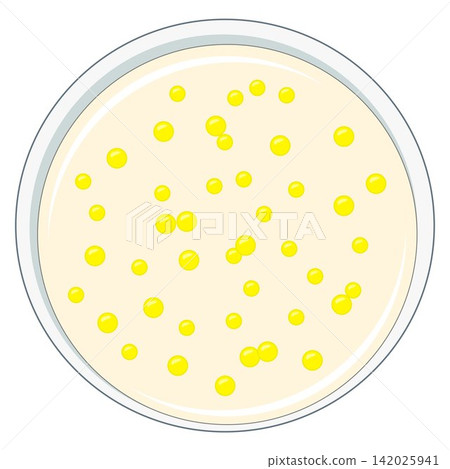 bacteria, vector, plate 142025941