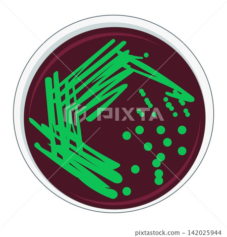 petri dish, vector, pathogen 142025944