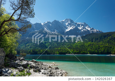 Travel landscape of Zugspitze Alps in Bavaria, Germany, scenic summer nature panorama with forest, Eibsee lake, snow mountains peak. Alpine landscape 142026167