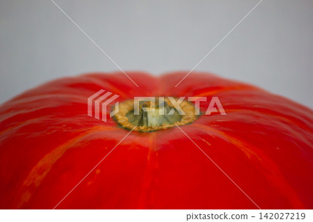 Macro shot of fresh ripe orange pumpkin skin and stem with copy space Macro shot of fresh ripe orange pumpkin skin and stem with copy space 142027219